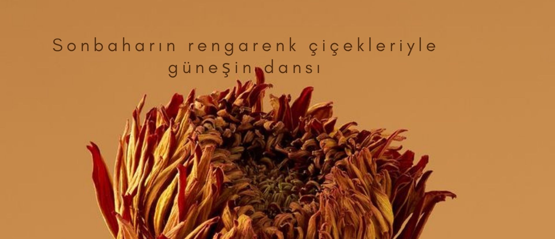 BUKET