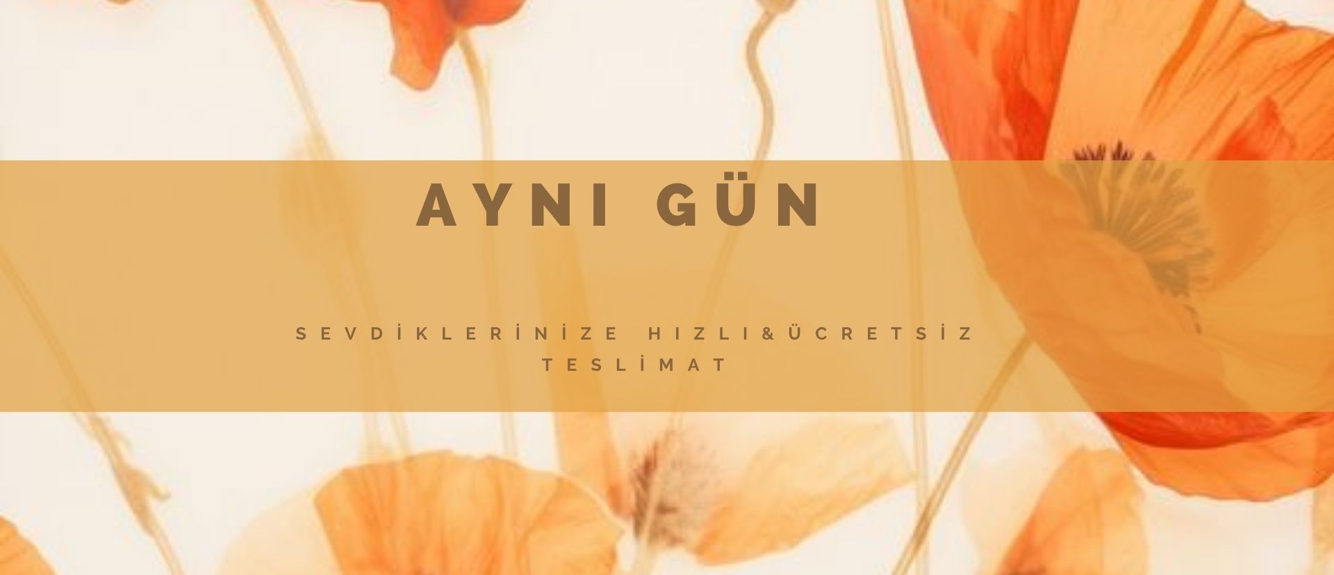 aynı gün 