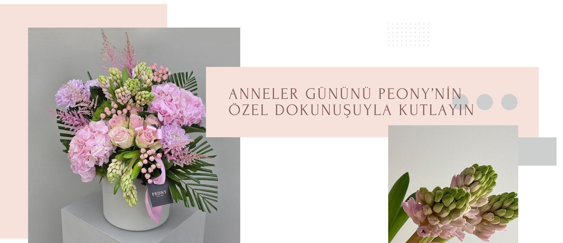 HASIR SEPET BİTKİLER