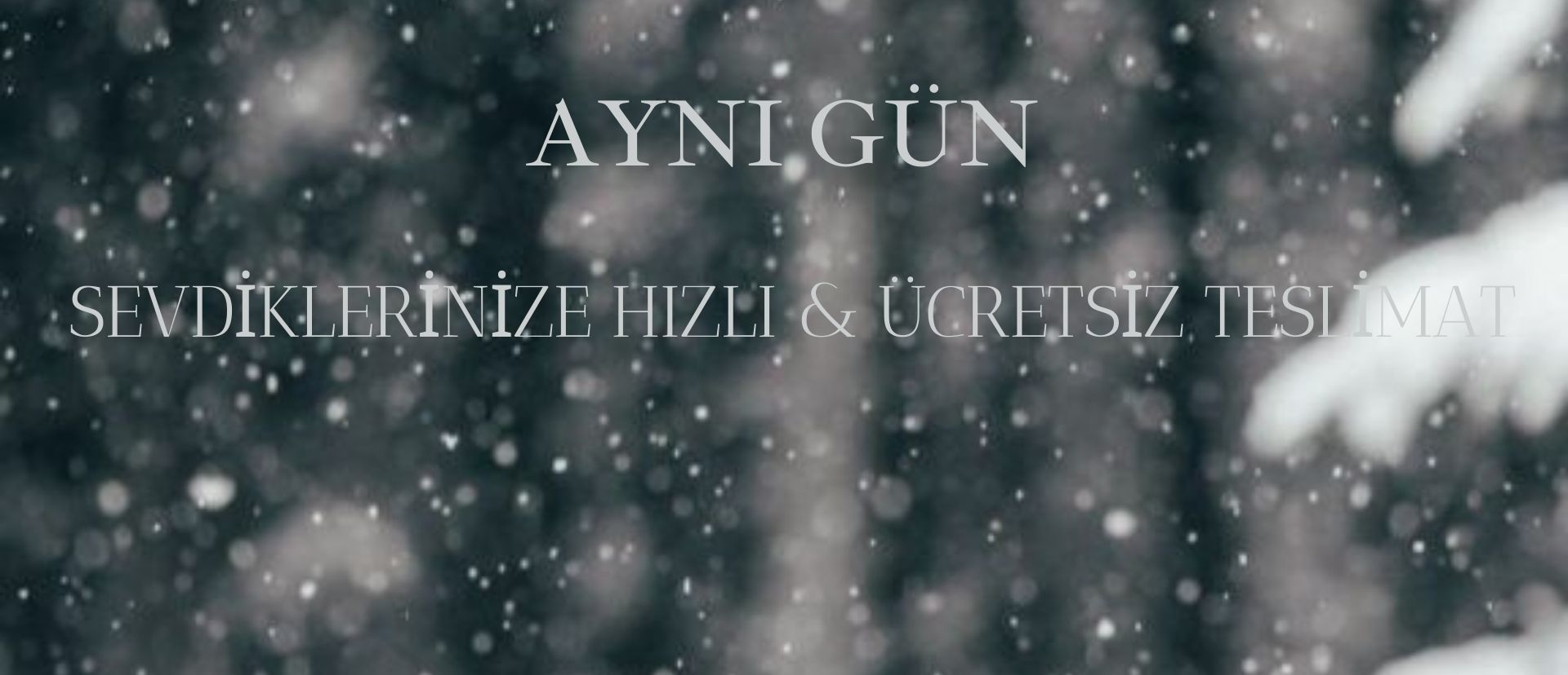 aynı gün 